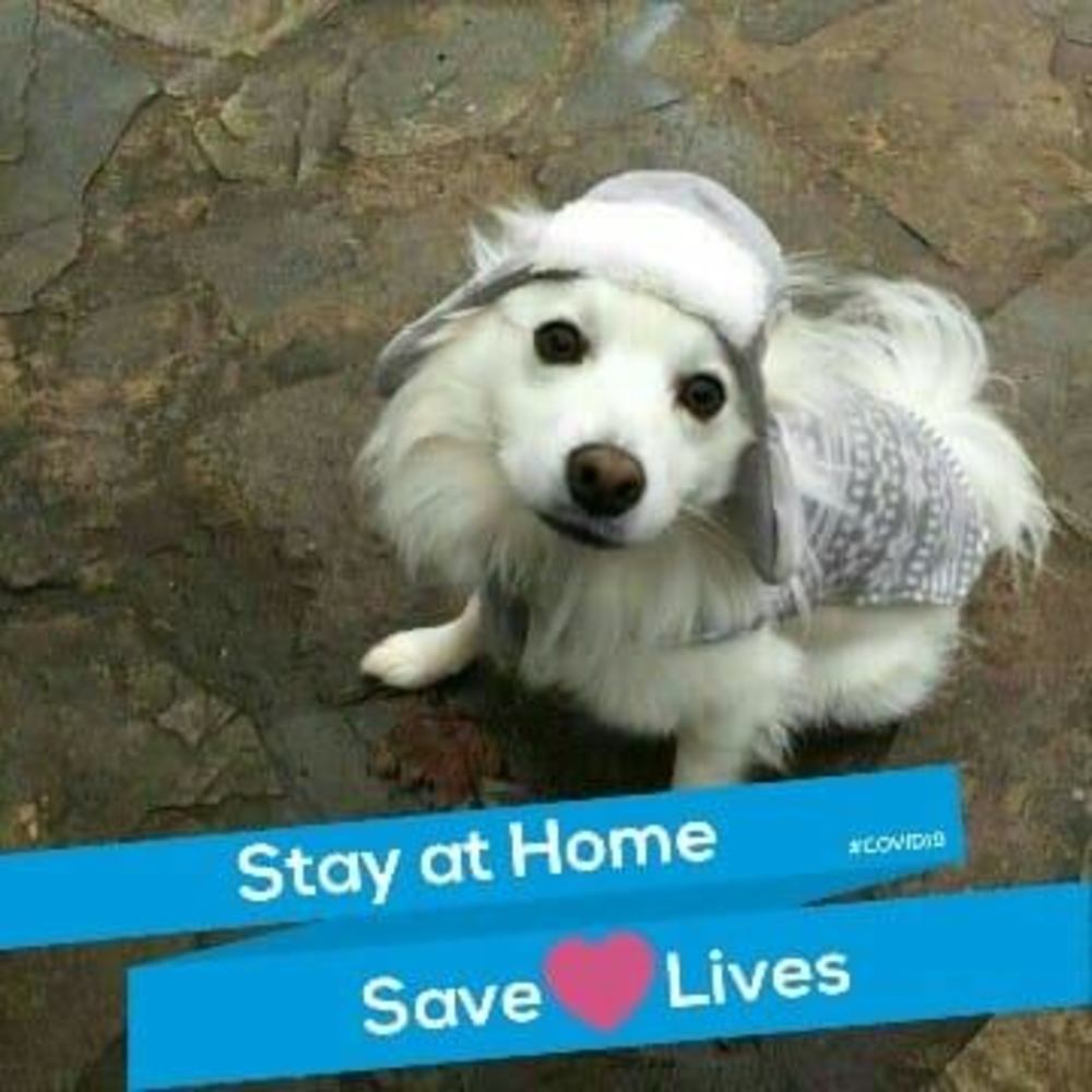 Meet your Posher, Esther